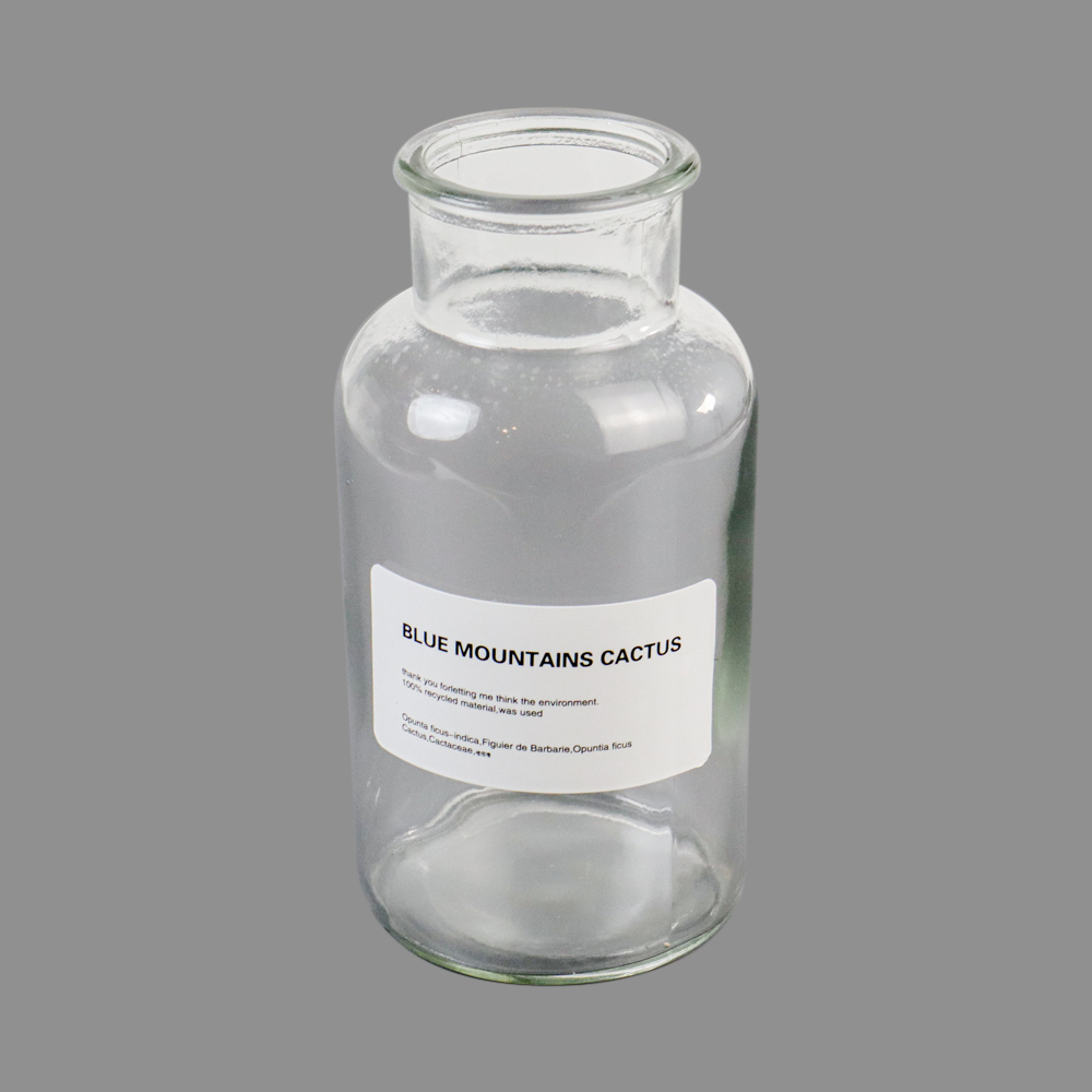 Vas Bunga Botol Kaca Aesthetic Bottle Vases Flower Pot 1000 ml - EN549