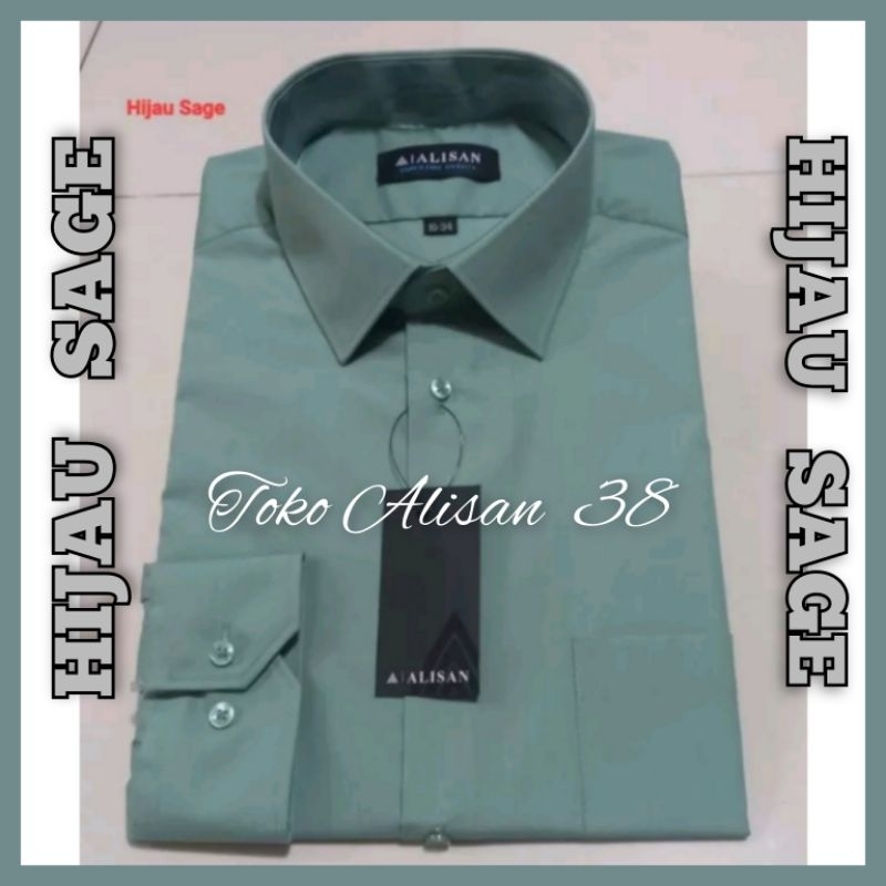 HIJAU SAGE -  Alisan Polos Lengan Panjang Regular Fit