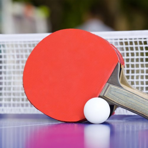 Bet Tenis Meja / Papan Tenis Meja / Bet Pingpong / Bet Kayu Tenis