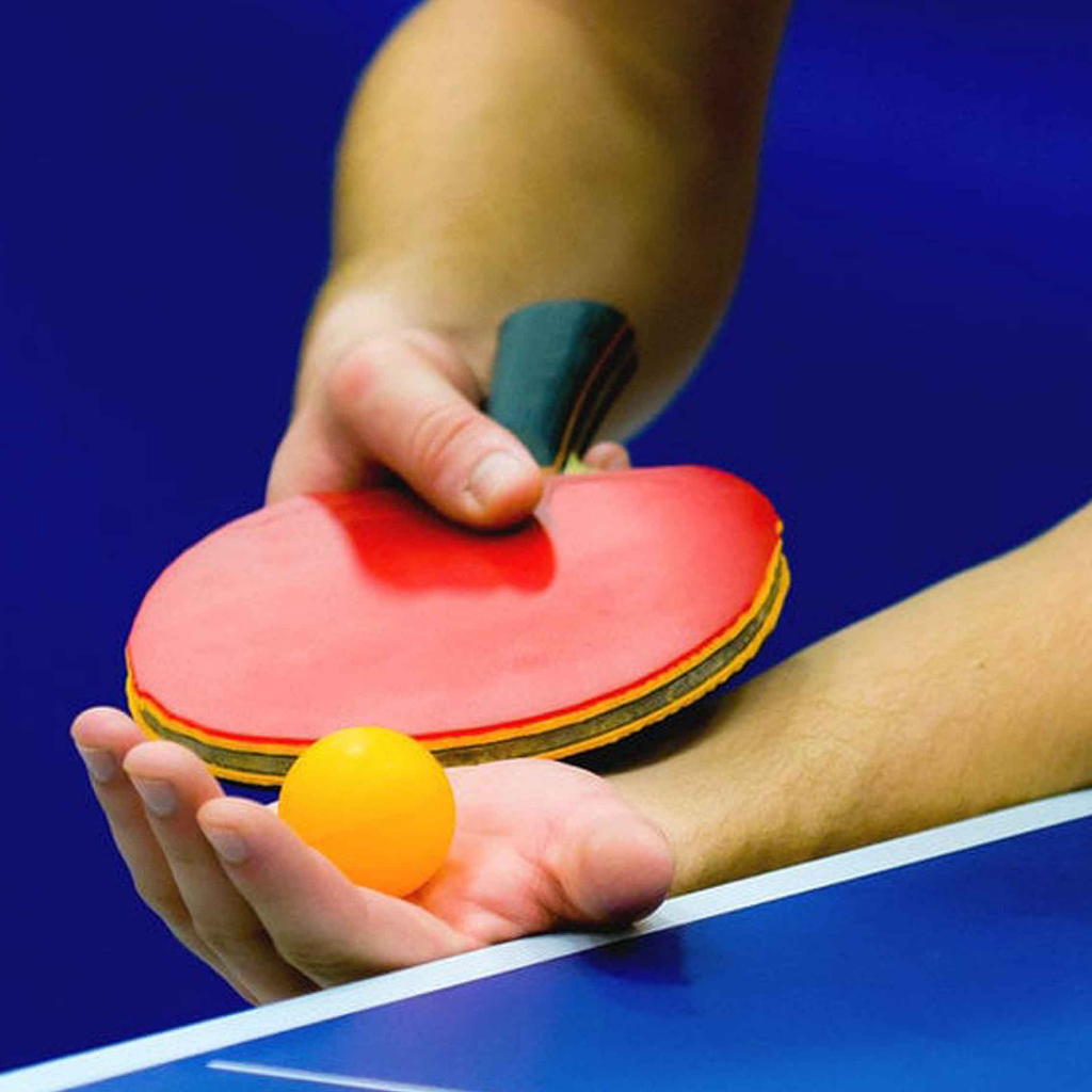 Bet Tenis Meja / Papan Tenis Meja / Bet Pingpong / Bet Kayu Tenis