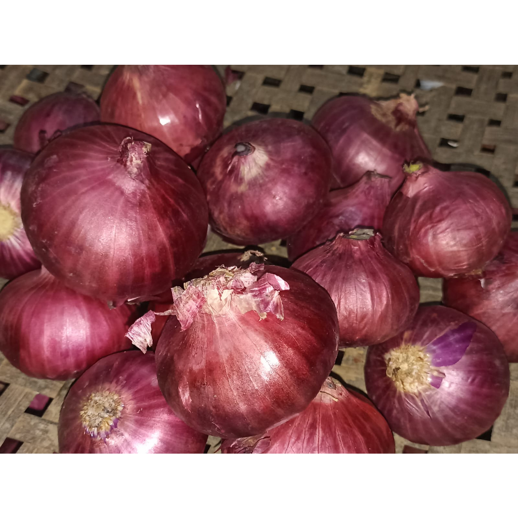 BAWANG MERAH PEKING  / BAWANG INDIA