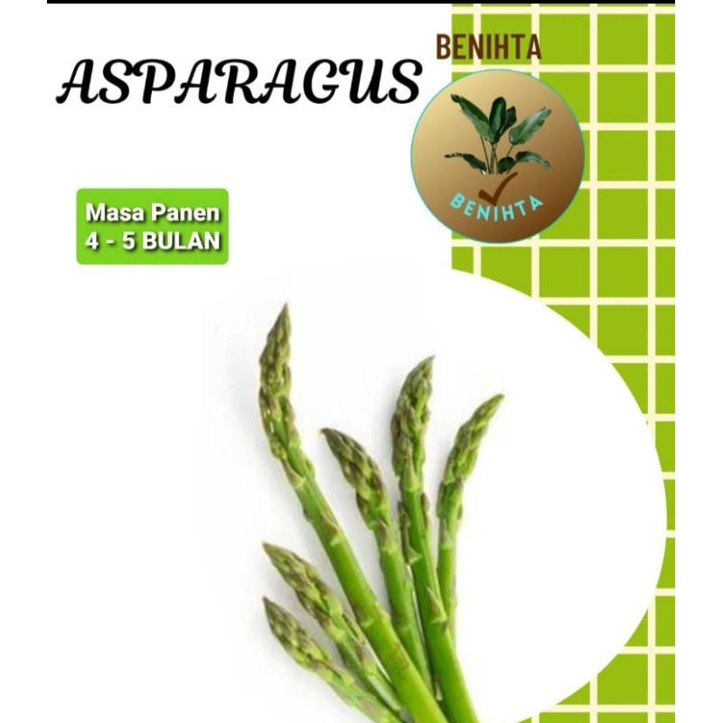 Asparagus / 25 Benih