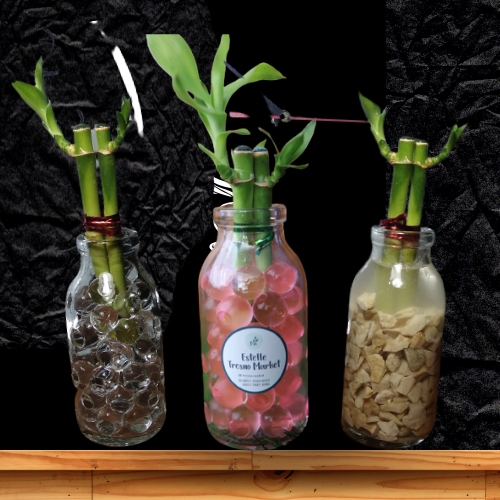 bambu china, china, sri rejeki, dekorasi bambu, bambu, termurah, ori, solo, hadiah, wisuda