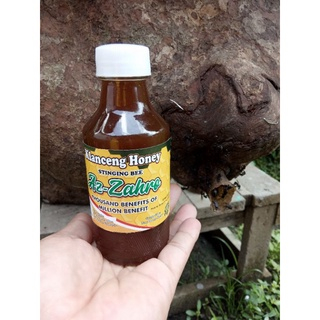 

Bee Honey AZ-ZAHRA Madu Klanceng Madu Kelulut Madu Trigona 100%