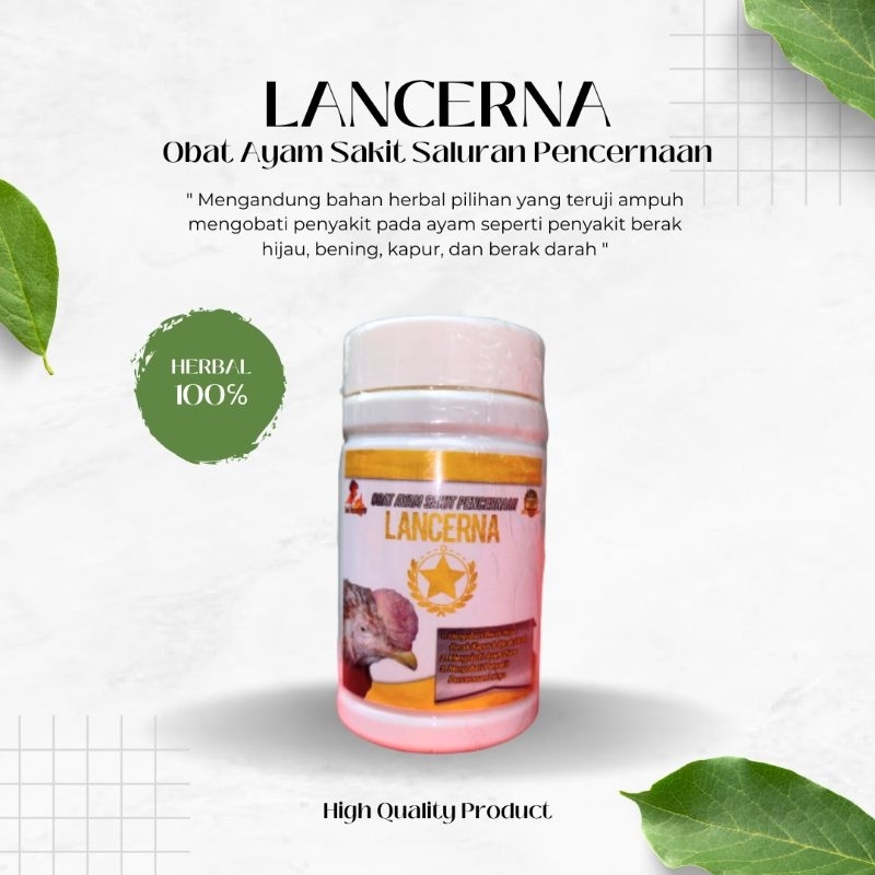 Obat Ayam Kolera LANCERNA Obat Penyakit Ayam Berak Hijau Berak Kapur Berak Bening Berak Darah Berak 