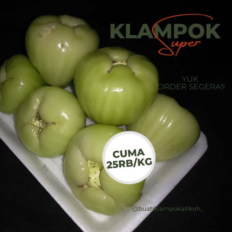 

Buah Klampok Camplong / Jambu Air Putih