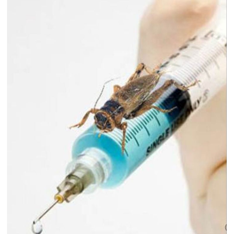 Spet Spuit Untuk Memasukan Vitamin Atau Obat Ke EF Jangkrik Dll