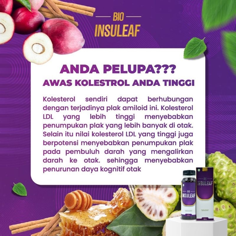 

BIOINSULEAF atasi Kolestrol dan Diabetes
