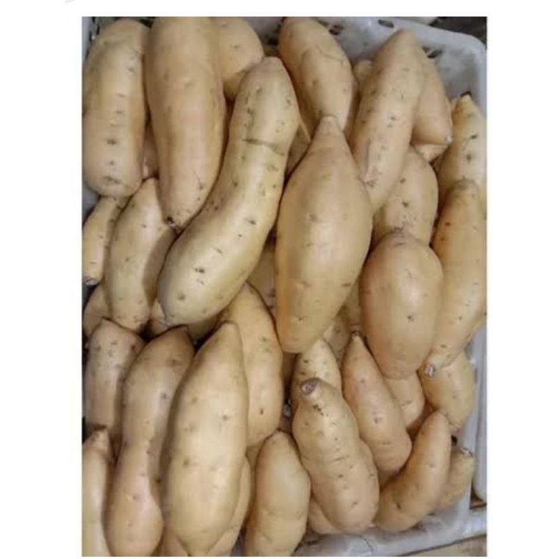 

Ubi jalar Wonogiri 500 gram