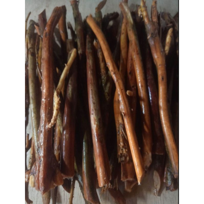 

Akar pinang segar herbal akar pinang segar 500 gram