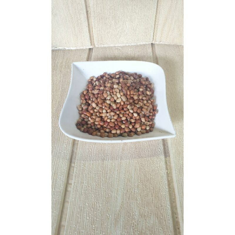 

KACANG TUNGGAK - TOLO MERAH - IMPORT