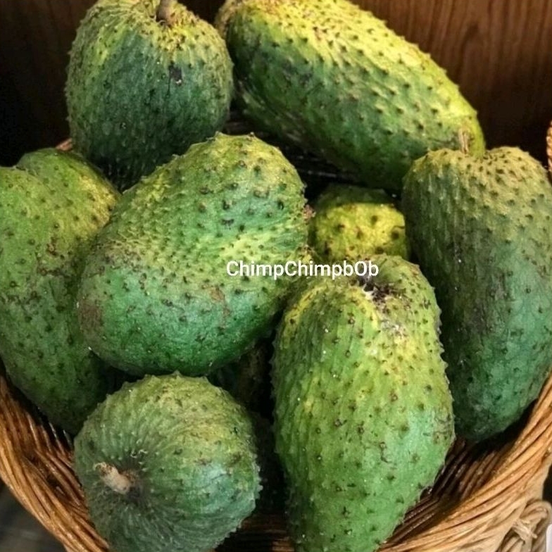 

SIRSAK SEGAR 1 BUAH / SIRSAT / SOURSOP FRESH FRUIT