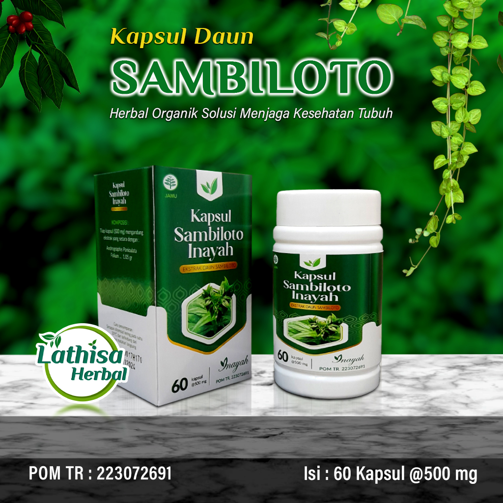 Kapsul Sambiloto Bpom Inayah Ekstrak Sambiloto