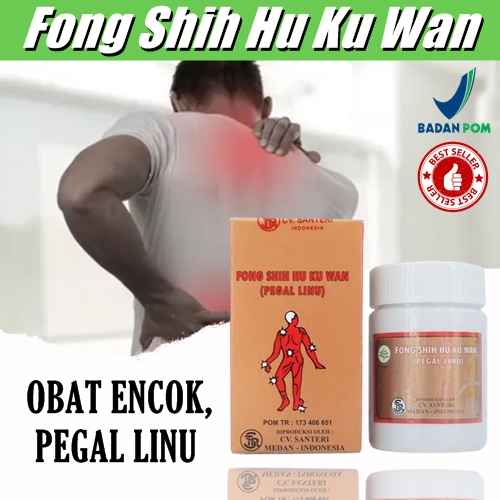 Fong Shih Hu Ku Wan Obat Encok Obat Rematik Asam Urat Pegal Linu Obat Pegal Kaki dan Tangan BPOM