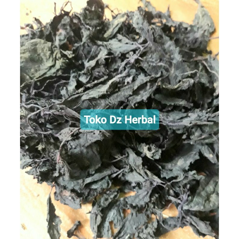 

Daun iler kering daun jawer kotok kering hemat 50 gram-az