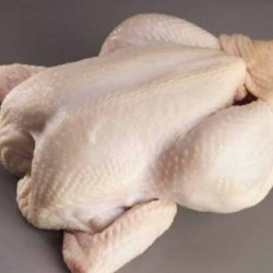 

ayam sotoan