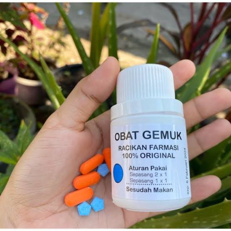 

Obat Gemuk Farmasi