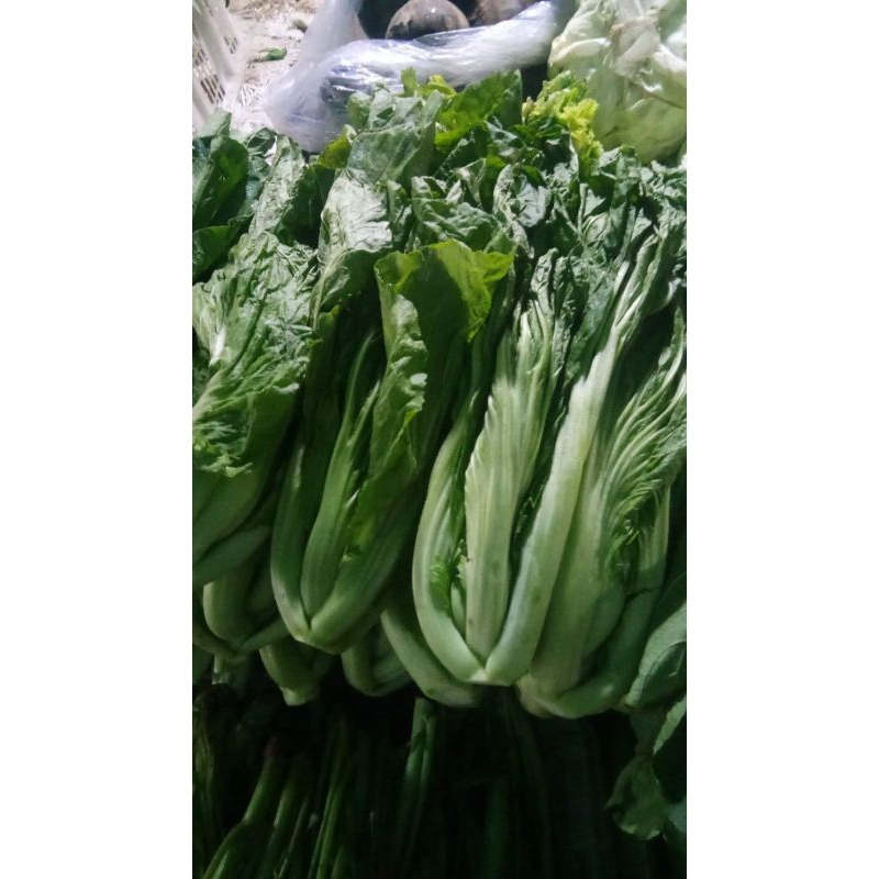 

SAWI PAHIT / SAWI ASIN