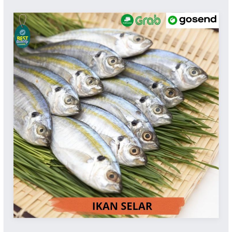 

Ikan Selar Segar - 1000gr