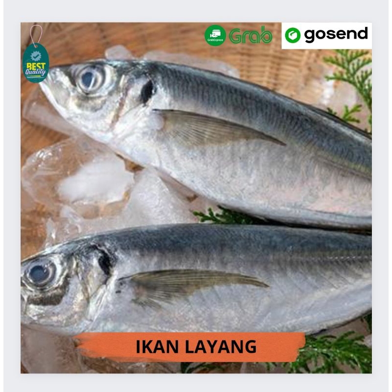 

Ikan Layang Segar - 1000gr