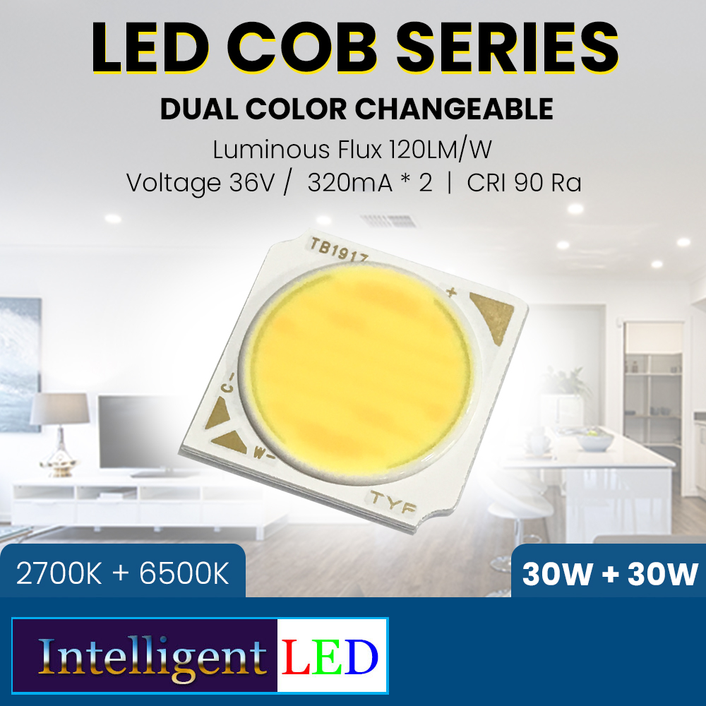 LED COB 30W+30W 2700K+6500K Dual Color Changeable 36V 800mA*2 19x19mm