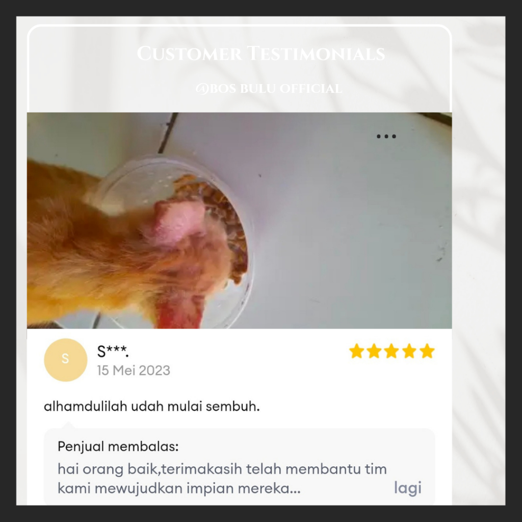 meo scaby obat jamur scabies luka borok penyakit kulit kucing 60ml