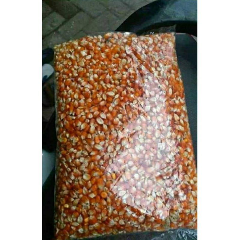 jagung pakan merpati 800g