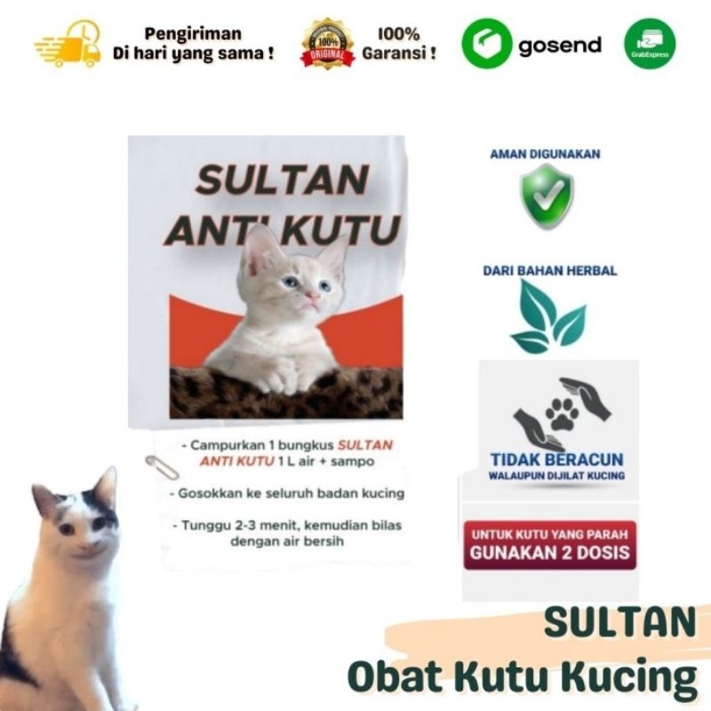 OBAT KUTU KUCING (SULTAN ANTI KUTU)