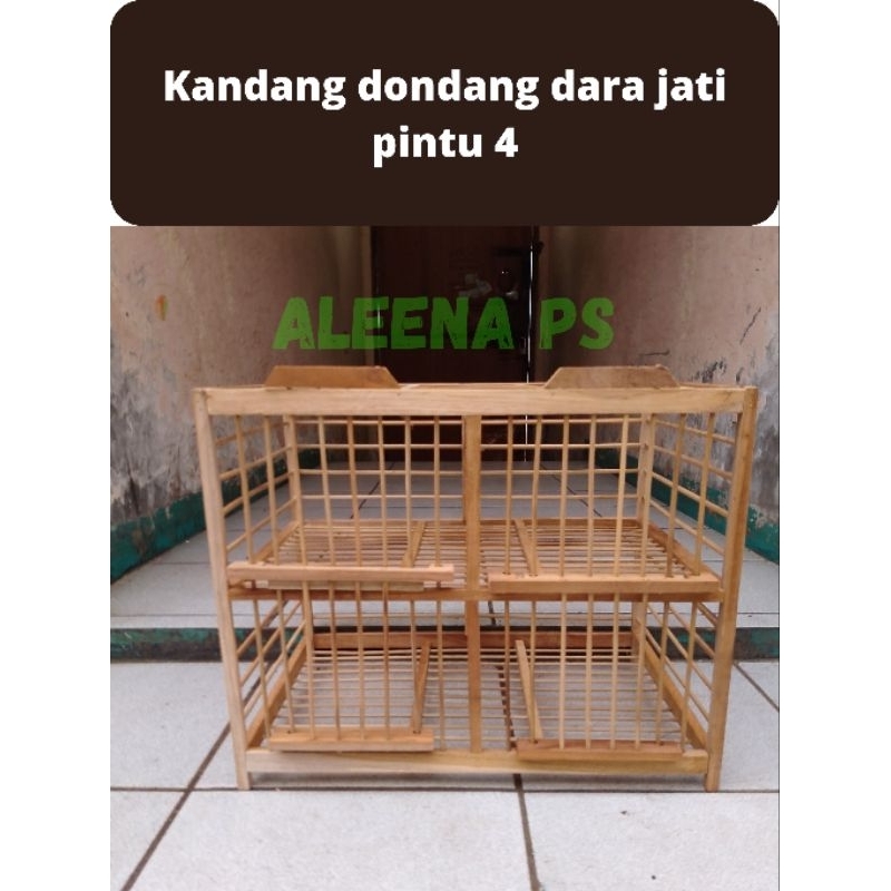 sangkar kandang dondang burung dara merpati kayu jati pintu 4