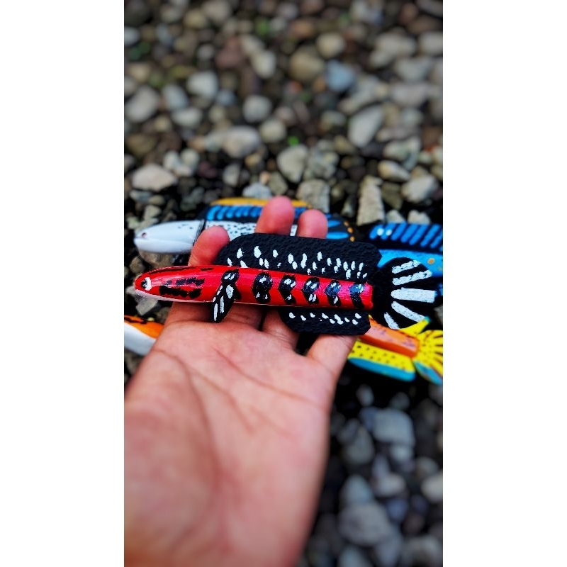 patung channa maru,asiatica, auranti,blue pulcra,limbata, stewarti,red barito melatih mental