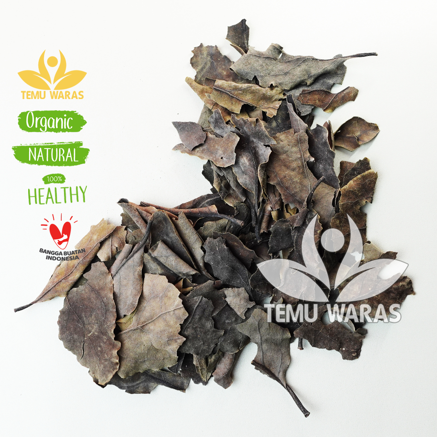

Daun Benalu Kering 100 gr Kering Solusi Herbal Ambeyen