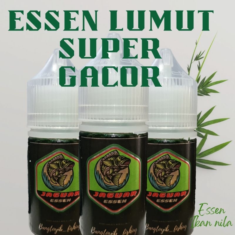 JAGUAR ijo essen lumut