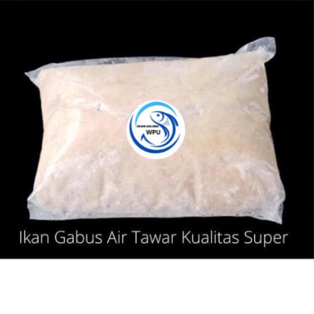 

IKAN GABUS SUPER / IKAN GABUS AIR TAWAR IKAN GILING BEKASI