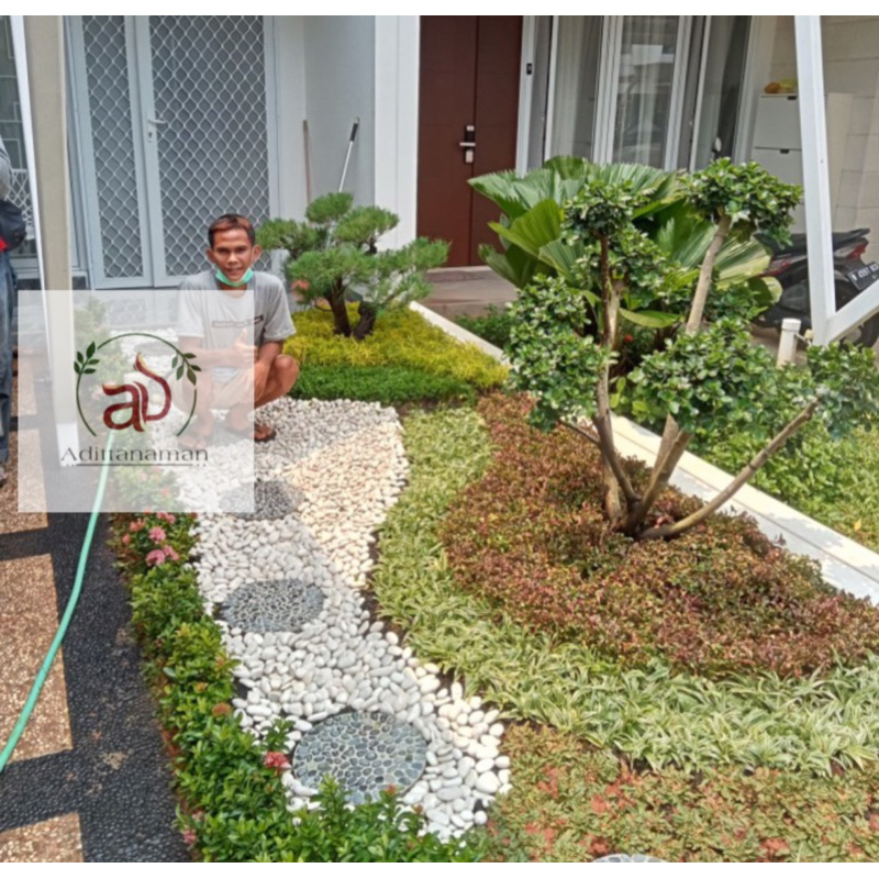 Jasa pembuatan taman jasa tanam rumput jasa tanaman hias jasa pembuatan taman jasa pembuatan kasa pe