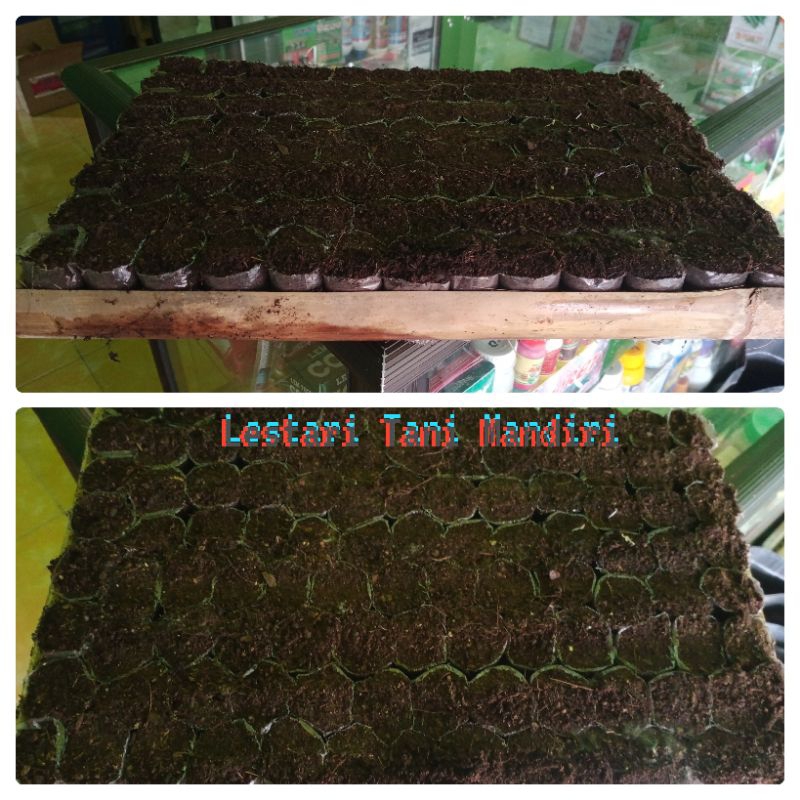 Media Semai Siap Pakai Untuk Sayuran (Cabai, Terong dll)