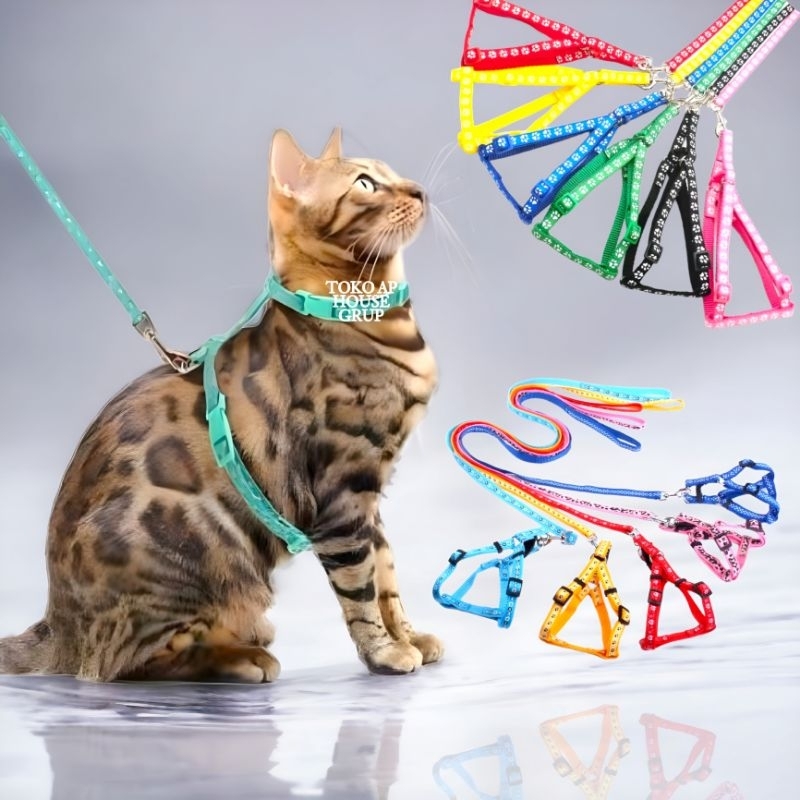 TALI TUNTUN HARNESS KUCING ANJING MOTIF BONE