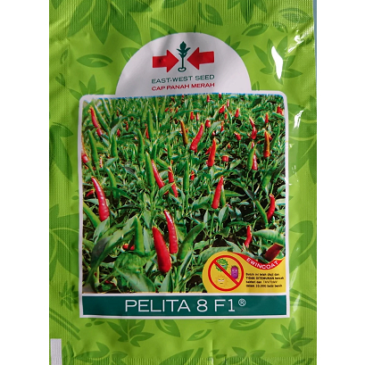 Cabai pelita 8 F1 -