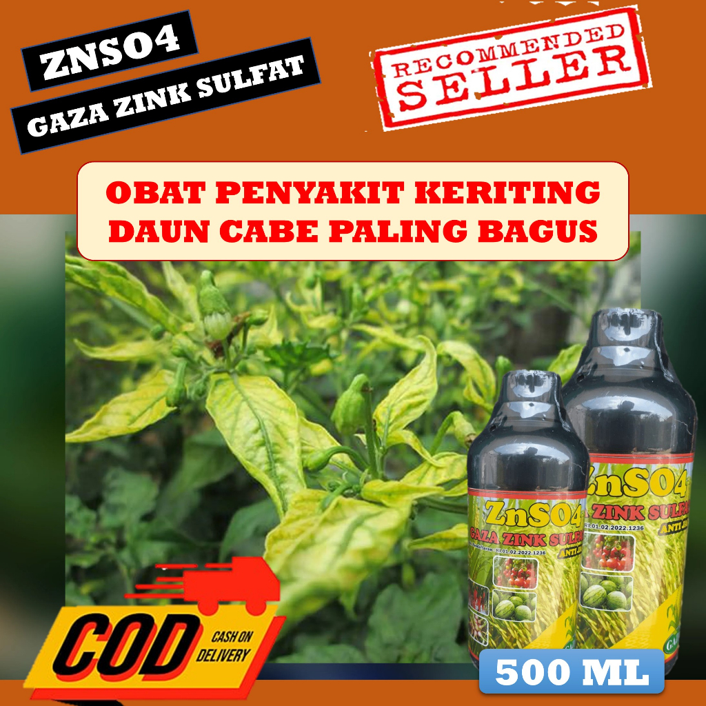 (TERBARU) Pupuk cabe anti keriting - Pupuk anti keriting untuk cabe - Pupuk pelebat buah cabe keriti