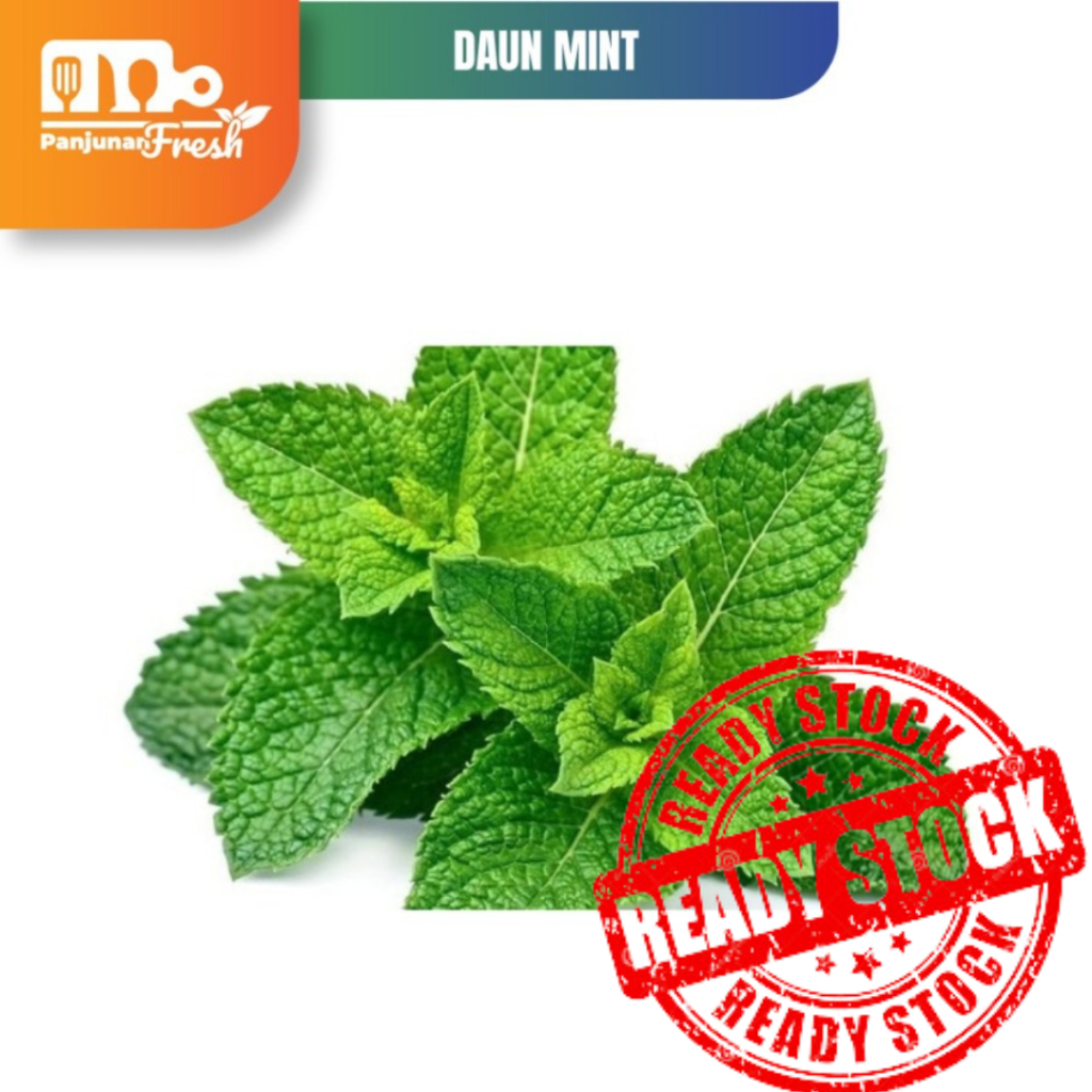 

DAUN MINT SEGAR FRESH 250 GRAM
