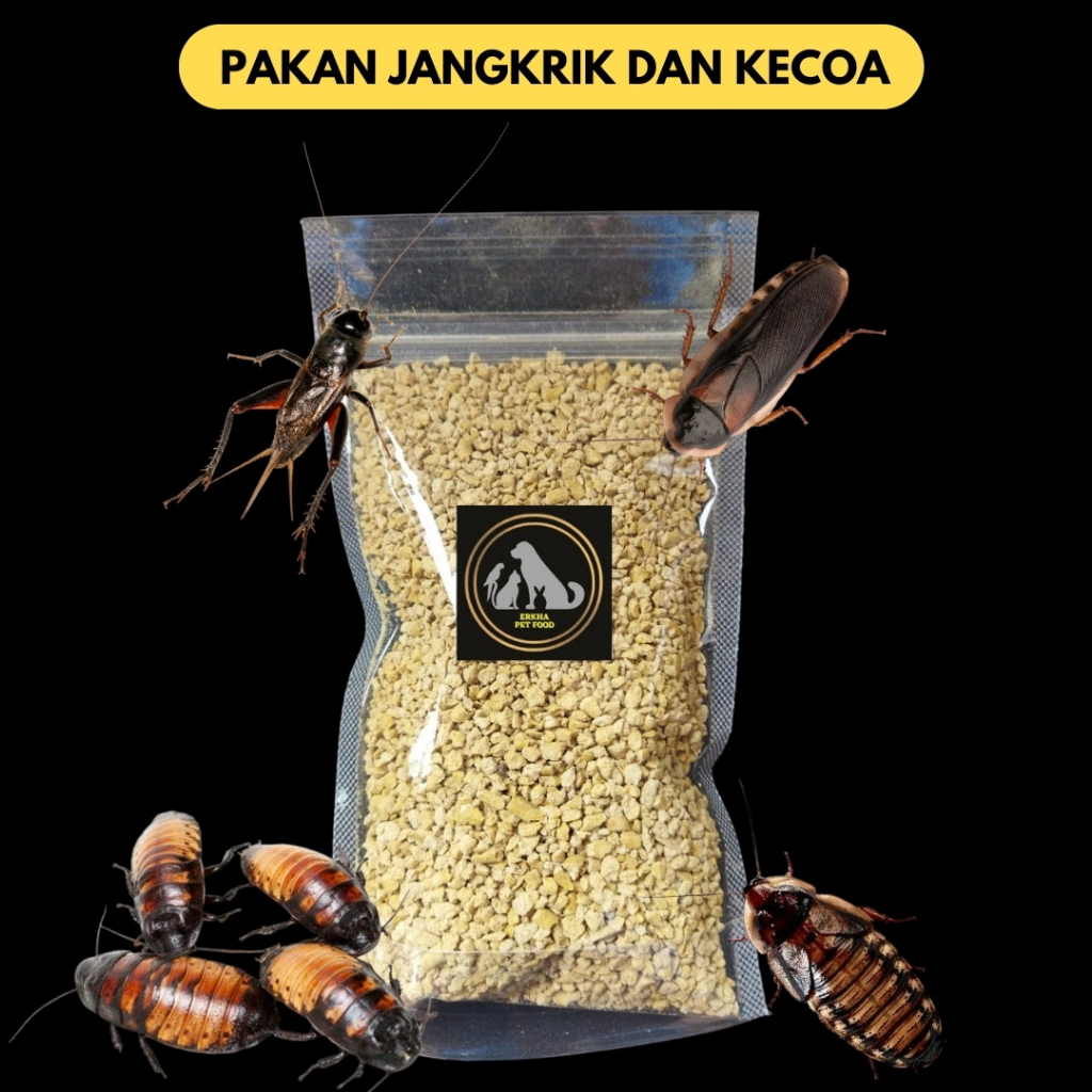 Pakan Jangkrik Kecoa Dubia Madagaskar