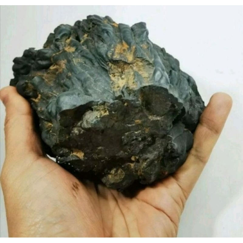 Huge Rare Natural Pure Kod Super Prayer Leklai Yoi Lp Yai