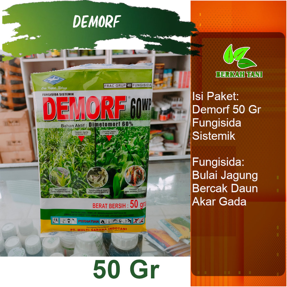 Demorf 50 Gram Fungisida Sistemik Bulai Jagung