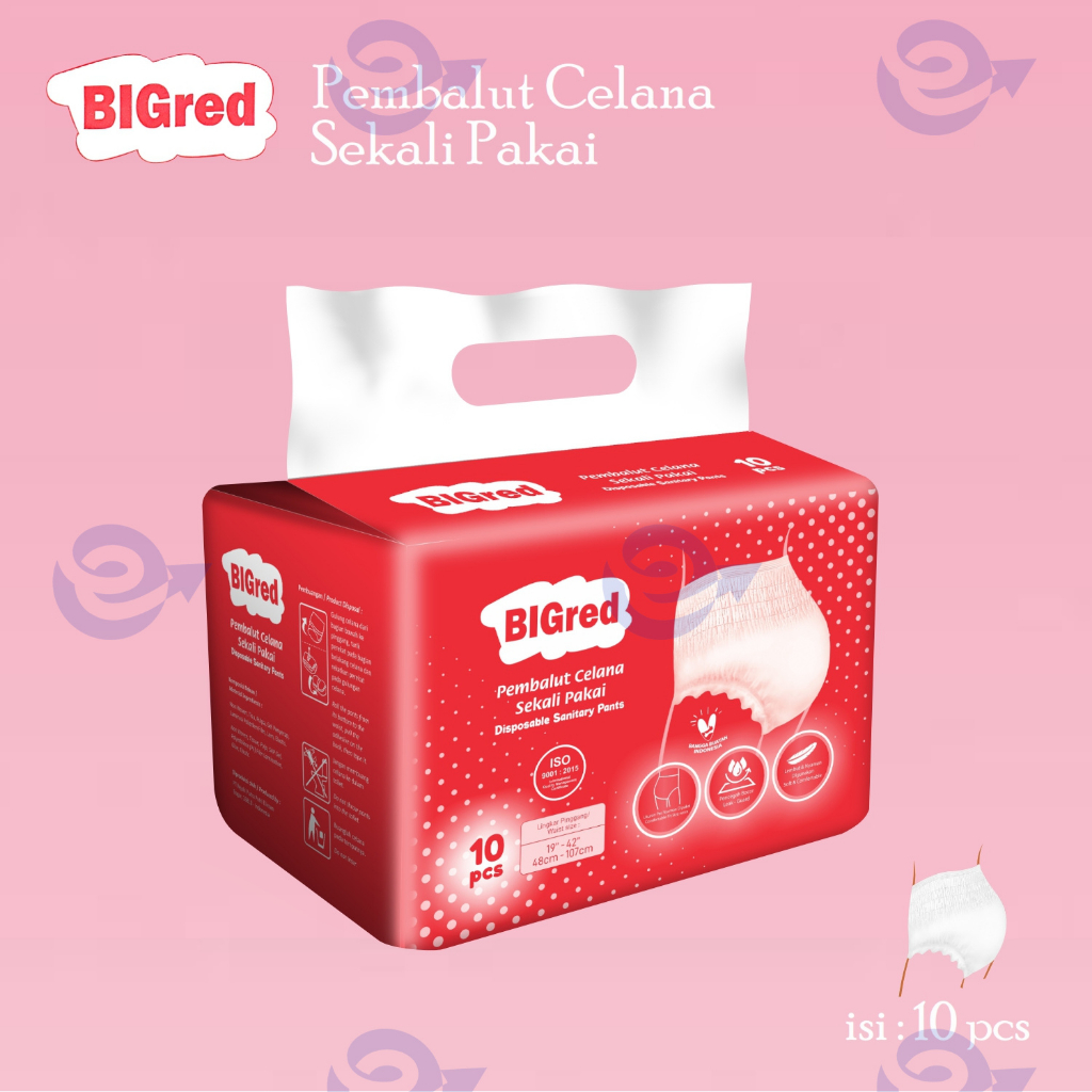 BIGred Pembalut Celana Sekali Pakai untuk Wanita Menstruasi Datang Bulan Haid, Disposable Sanitary Pants 10pcs