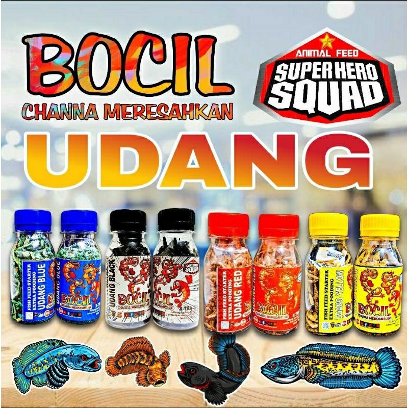 pakan channa UDANG KERING BOCIL MERESAHKAN