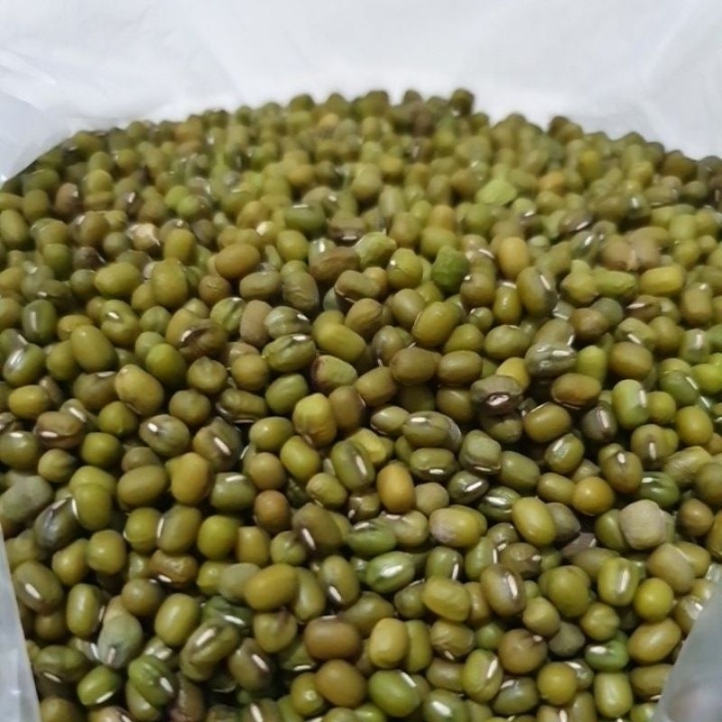 

kacang hijau 250gr