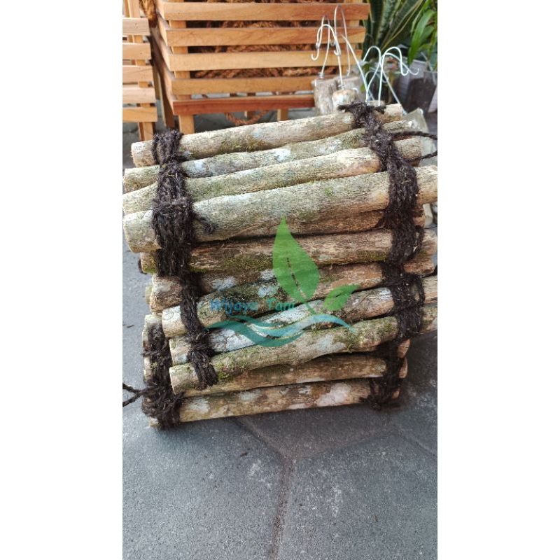 Mokilo43 Papan Kayu Kopi Anggrek Media Tempel Anggrek