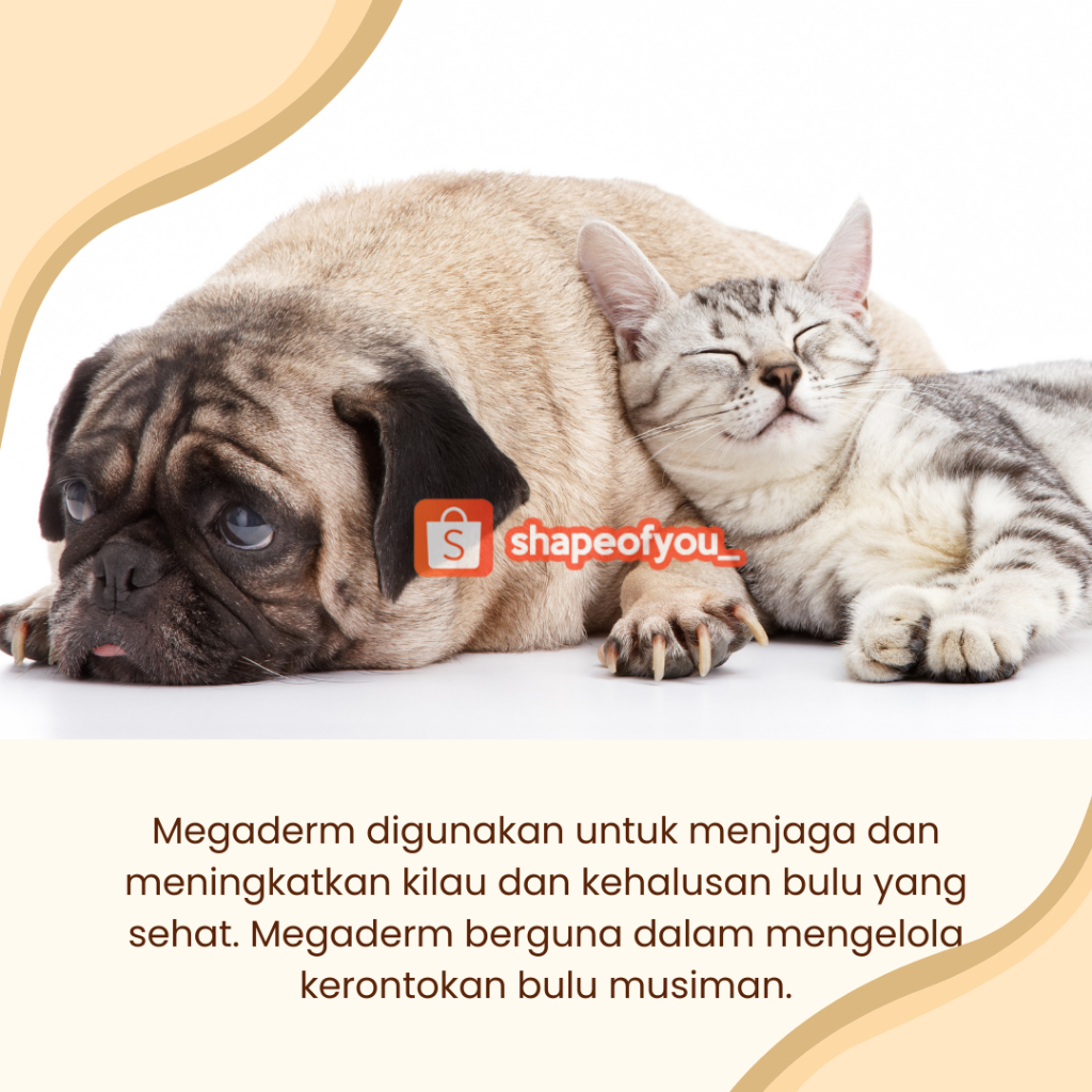 Virbac Megaderm Vitamin Suplemen Bulu Kucing Anjing 4ml Sachet