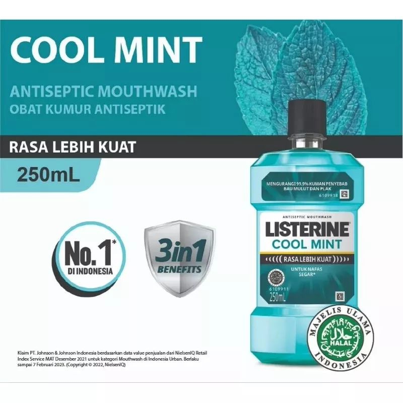 Listerine Cool Mint 250ml (Obat Kumur)