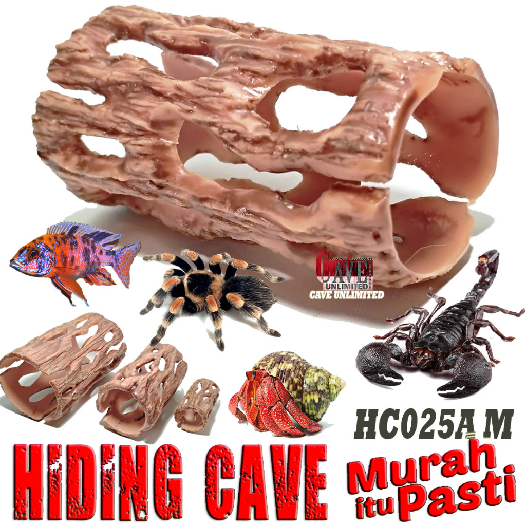 HC025A CHOLA HIDING CAVE GOA RUMAH TEMPAT SEMBUNYI TARANTULA KALAJENGKING LABA LABA KELABANG KELOMAN