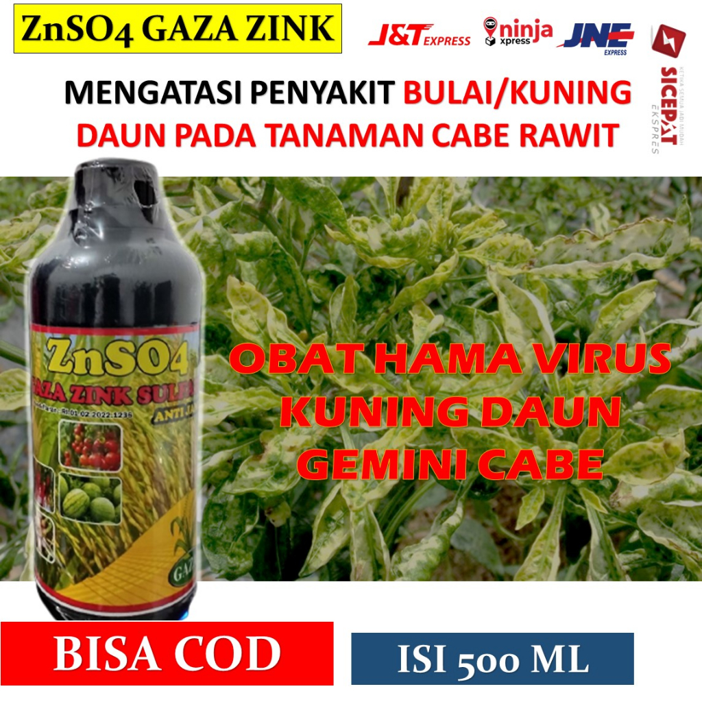 paling laris ZnSO4 GAZA ZINK SULFATE ANTI JAMUR Obat Tanaman Cabe Daun Keriting, Obat Layu Fusarium 